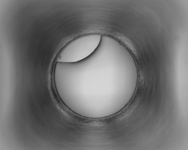 X0000112210578200908071305