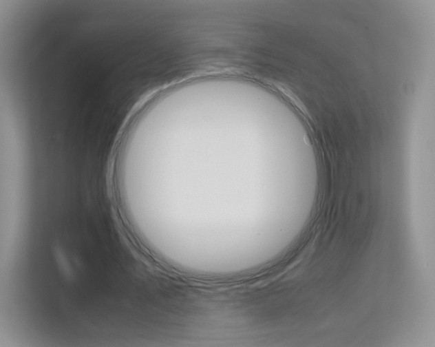 X0000112210579200908071305