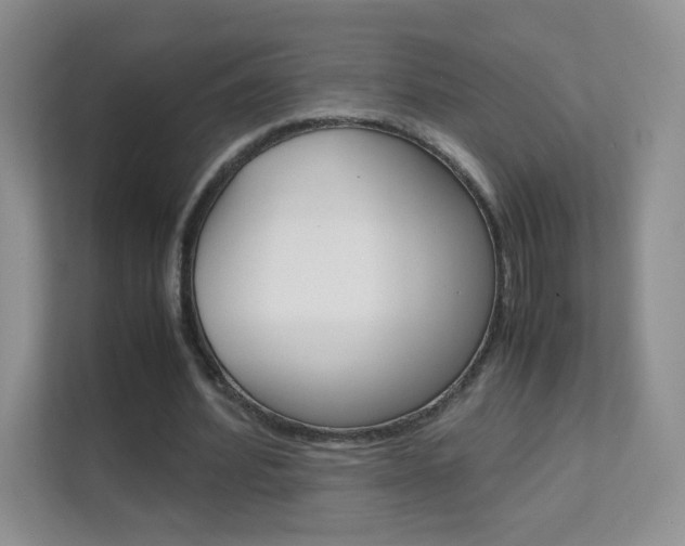 X0000112210580200908071305