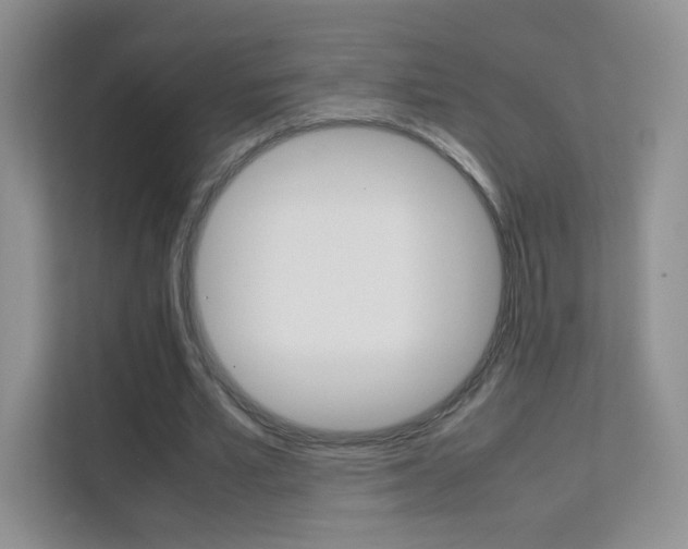 X0000112210581200908071305