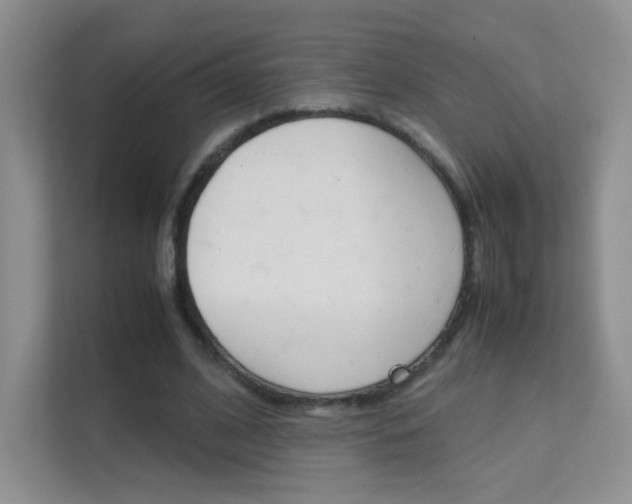 X0000112210584200908071305
