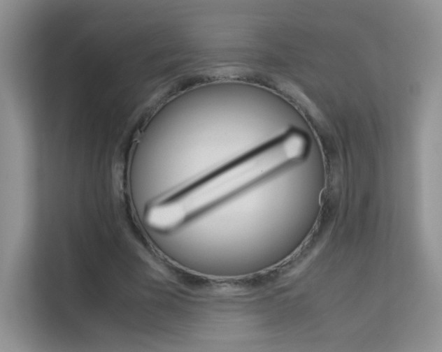 X0000112210585200908071304