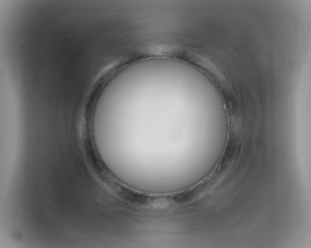 X0000112210587200908071304
