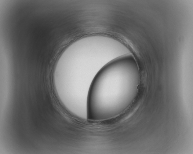 X0000112210589200908071304