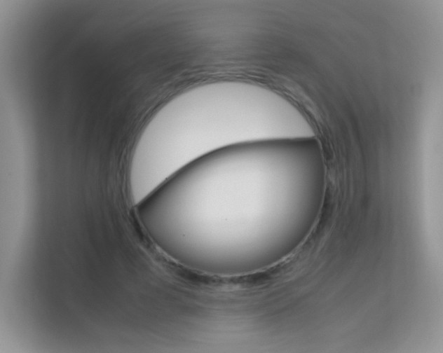 X0000112210593200908071304