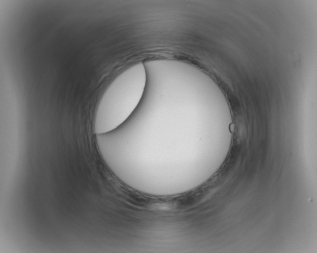 X0000112210595200908071304