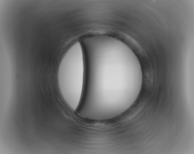 X0000112210596200908071304