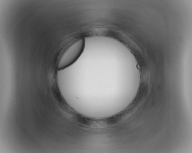 X0000112210599200908071304