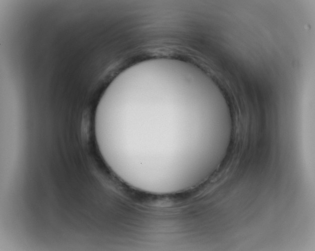 X0000112210600200908071304