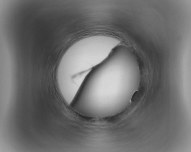 X0000112210601200908071304