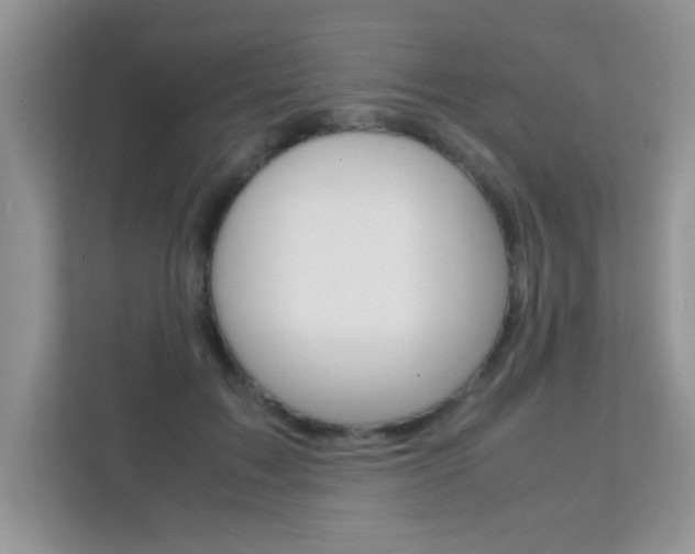 X0000112210603200908071304
