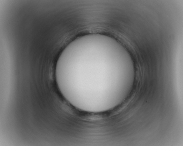 X0000112210604200908071304