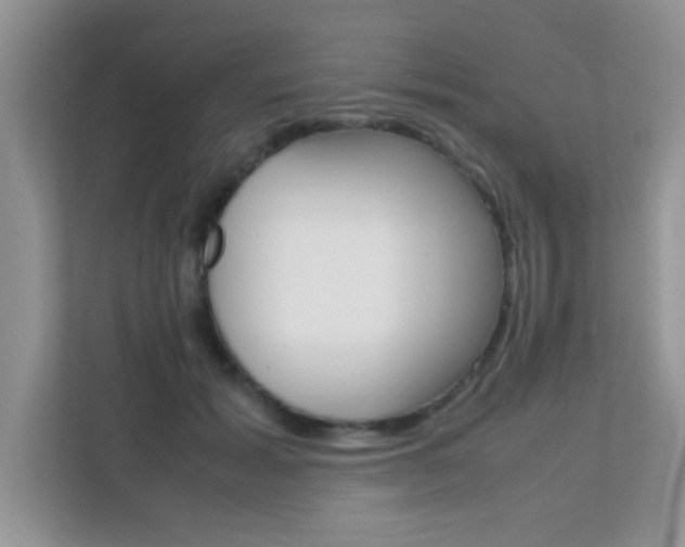 X0000112210605200908071304