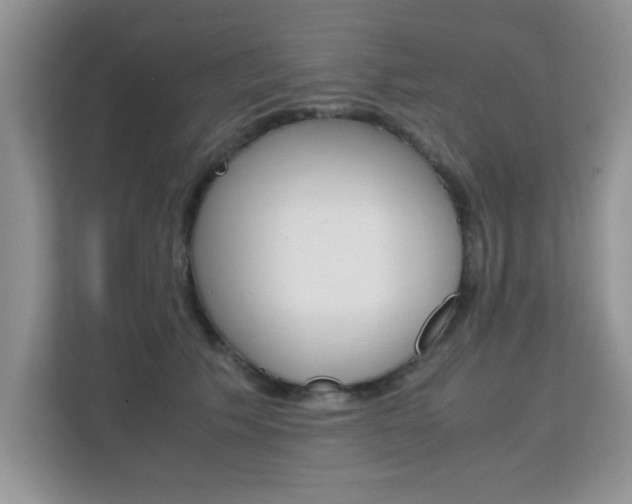 X0000112210609200908071304