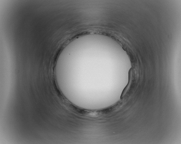 X0000112210611200908071304