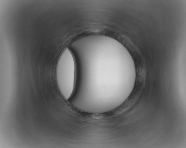 X0000112210612200908071304
