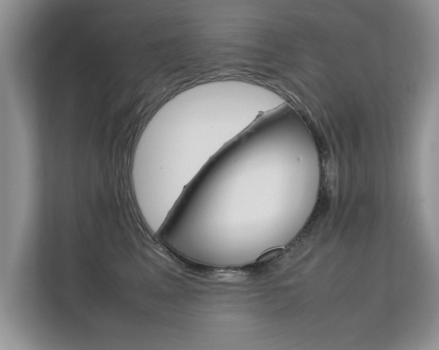 X0000112210617200908071304