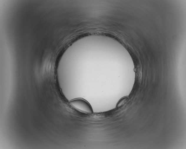 X0000112210619200908071304