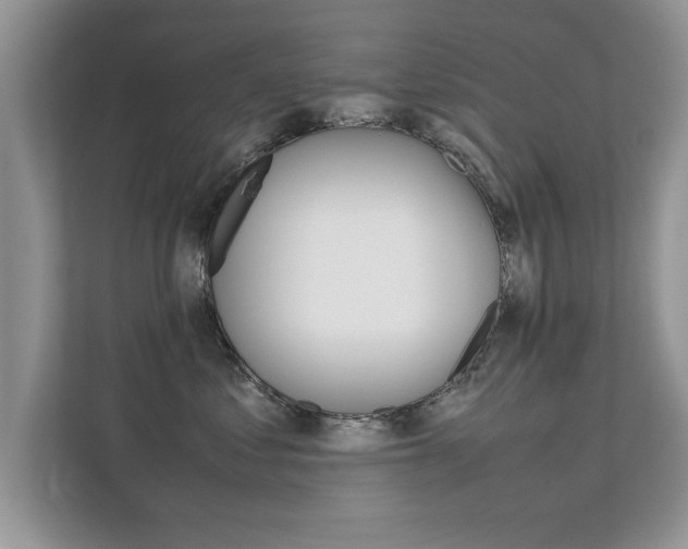X0000112210621200908071304