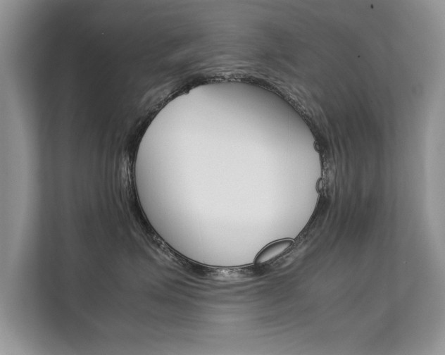 X0000112210623200908071304