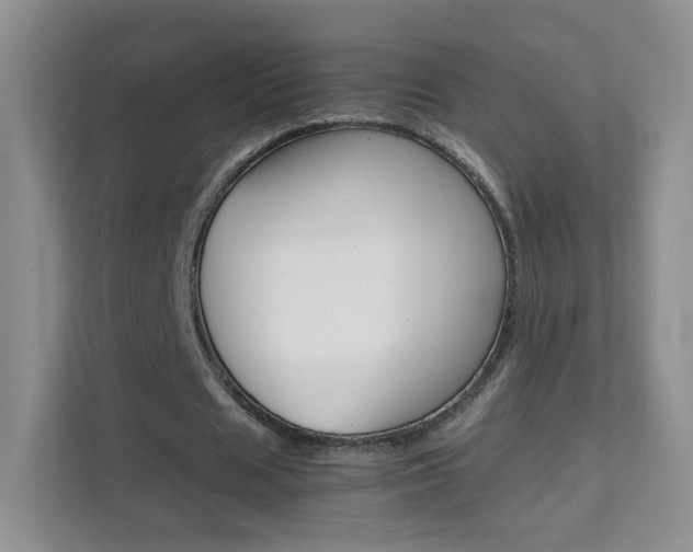 X0000112210625200908071303