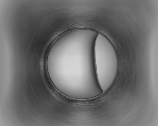 X0000112210626200908071303