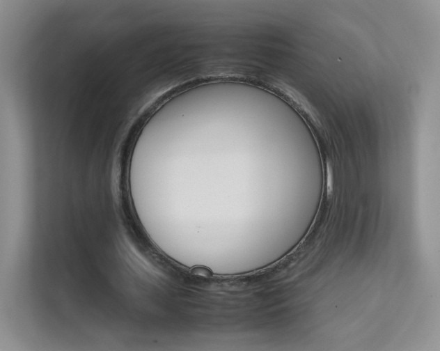 X0000112210627200908071303