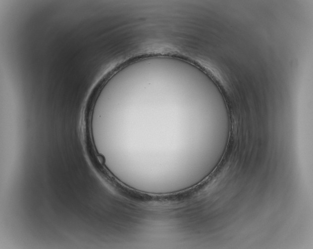 X0000112210630200908071303