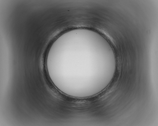 X0000112210631200908071303