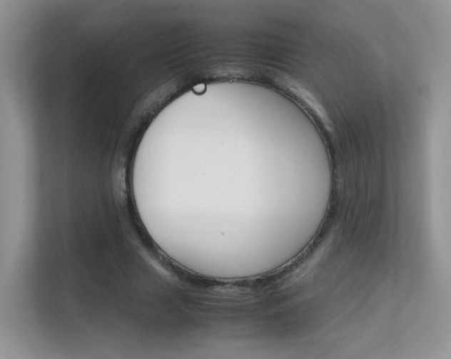 X0000112210633200908071303