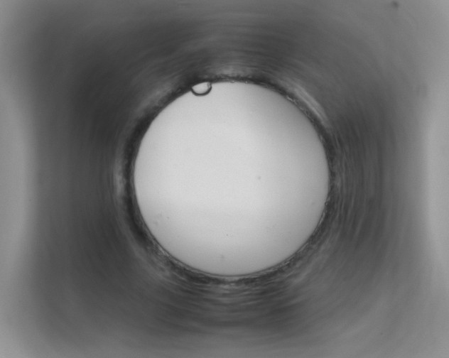 X0000112210635200908071303