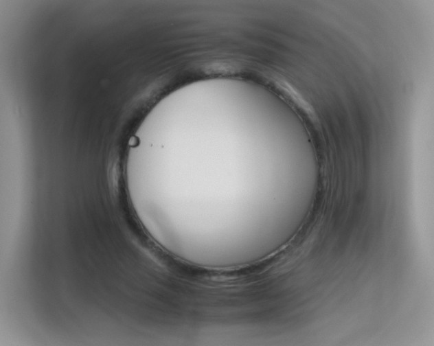 X0000112210637200908071304
