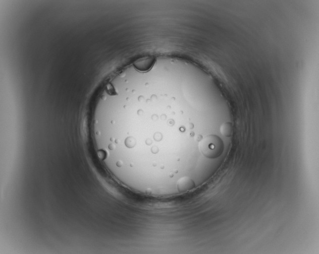 X0000112210638200908071304