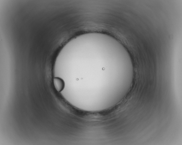 X0000112210642200908071304