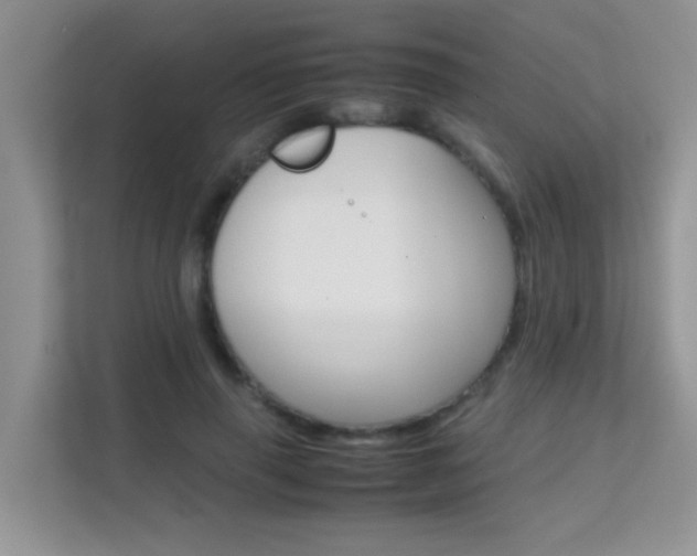 X0000112210645200908071304