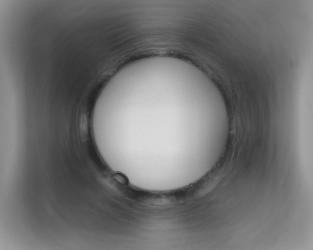 X0000112210646200908071304