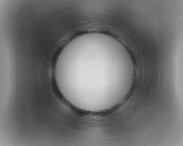 X0000112210648200908071304