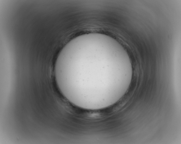 X0000112210651200908071304