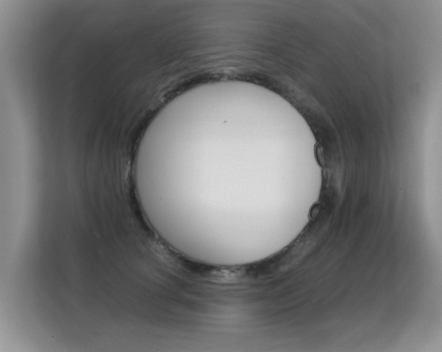 X0000112210660200908071304
