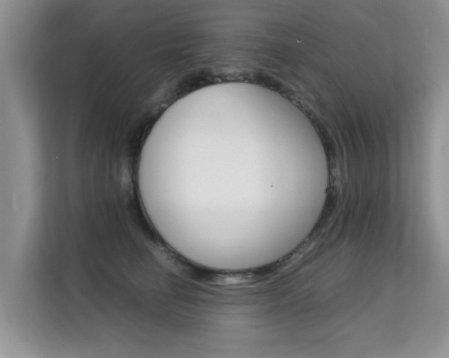 X0000112210662200908071304