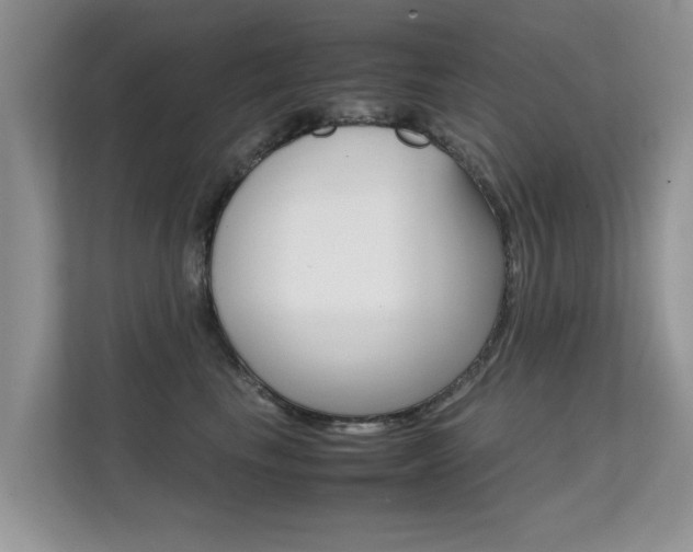 X0000112210665200908071304