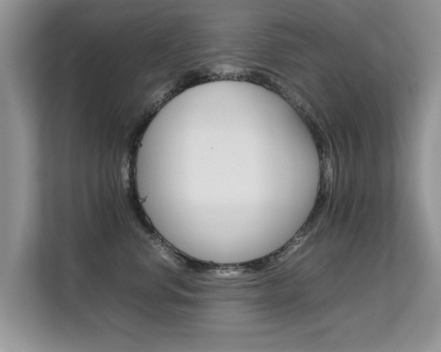 X0000112210668200908071304