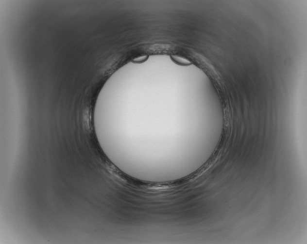 X0000112210669200908071304