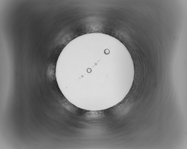 X0000112210672200908071304