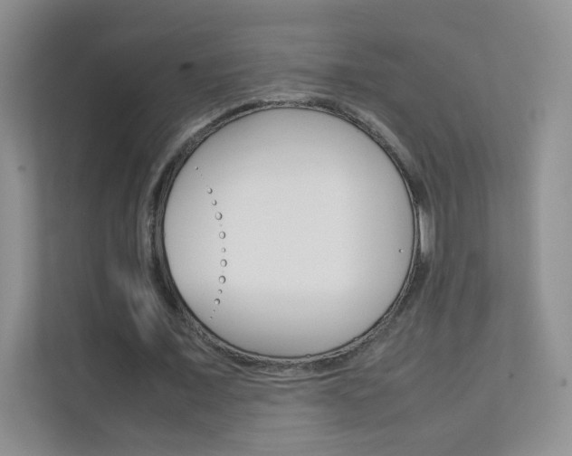 X0000112210675200908071303