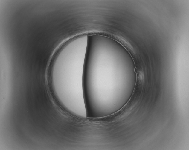 X0000112210676200908071303
