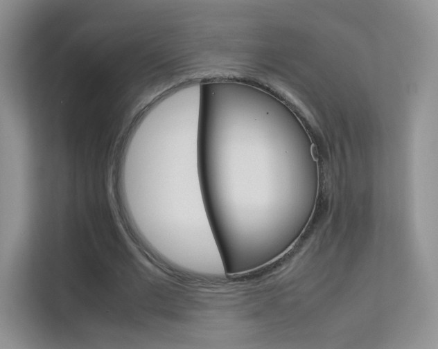 X0000112210677200908071303