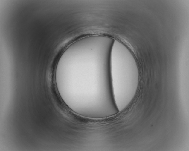 X0000112210679200908071303