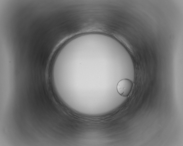 X0000112210680200908071303