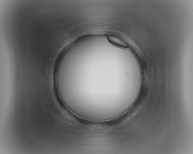 X0000112210681200908071303